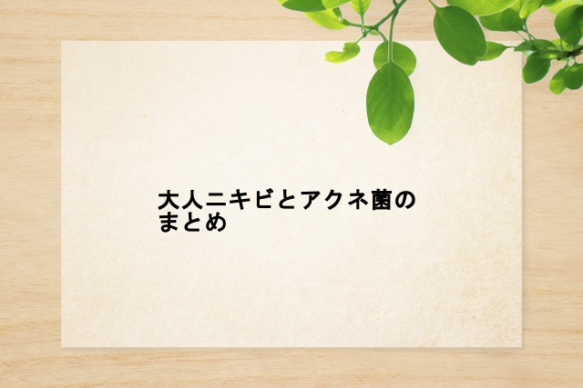 大人ニキビとアクネ菌のまとめ
