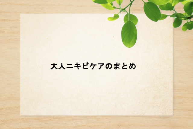 大人ニキビケアのまとめ