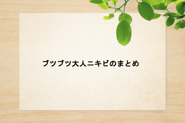 ブツブツ大人ニキビのまとめ