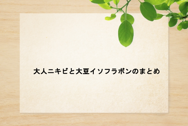 大人ニキビと大豆イソフラボンのまとめ