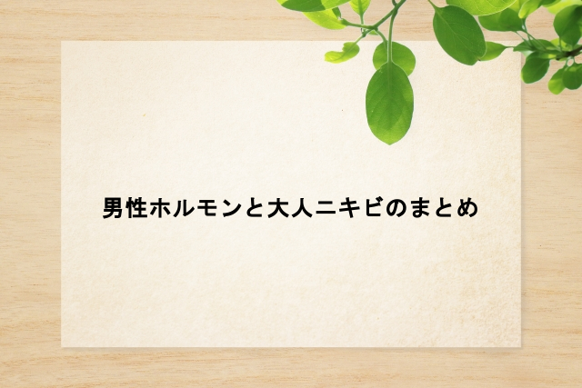 男性ホルモンと大人ニキビのまとめ