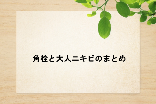 角栓と大人ニキビのまとめ