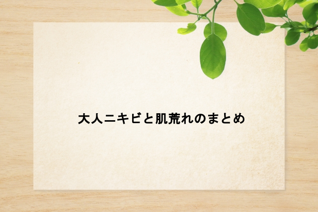 大人ニキビと肌荒れのまとめ