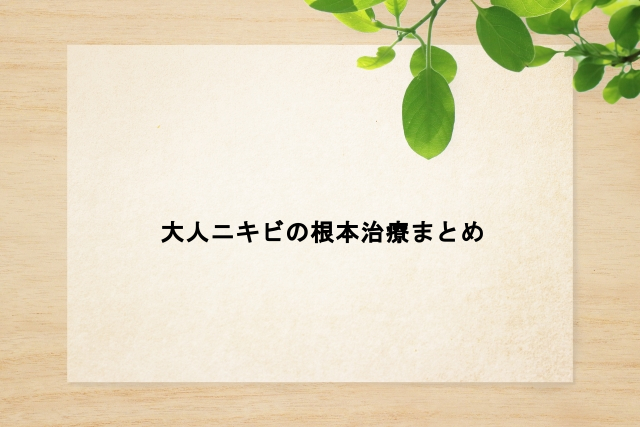 大人ニキビの根本治療まとめ