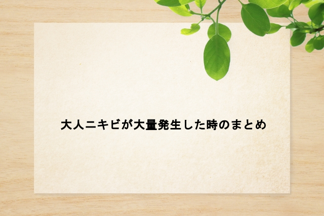 大人ニキビが大量発生した時のまとめ