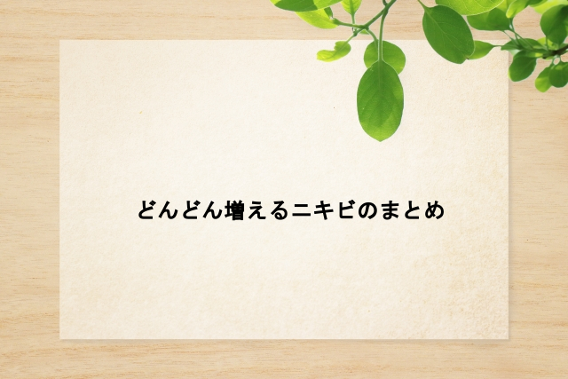 どんどん増えるニキビのまとめ
